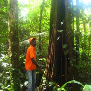 Communicatie in de jungle: de telefoonboom
